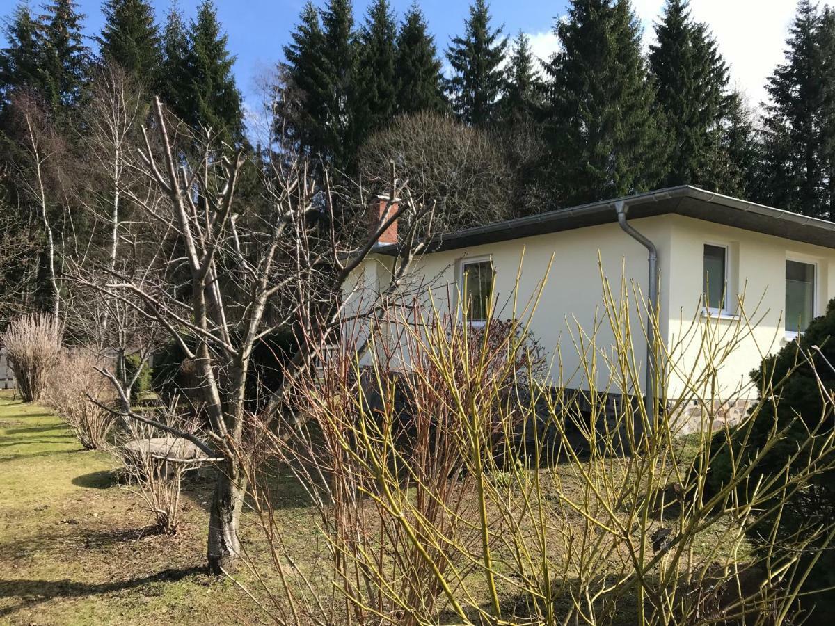 Ferienbungalow Grünbach Exterior foto